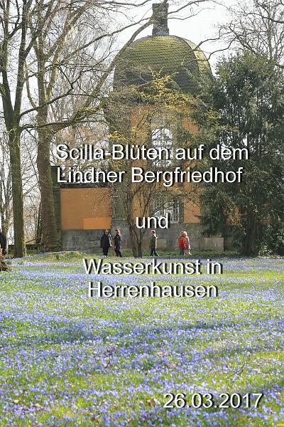 2017-03-25b 14-49-43.JPG